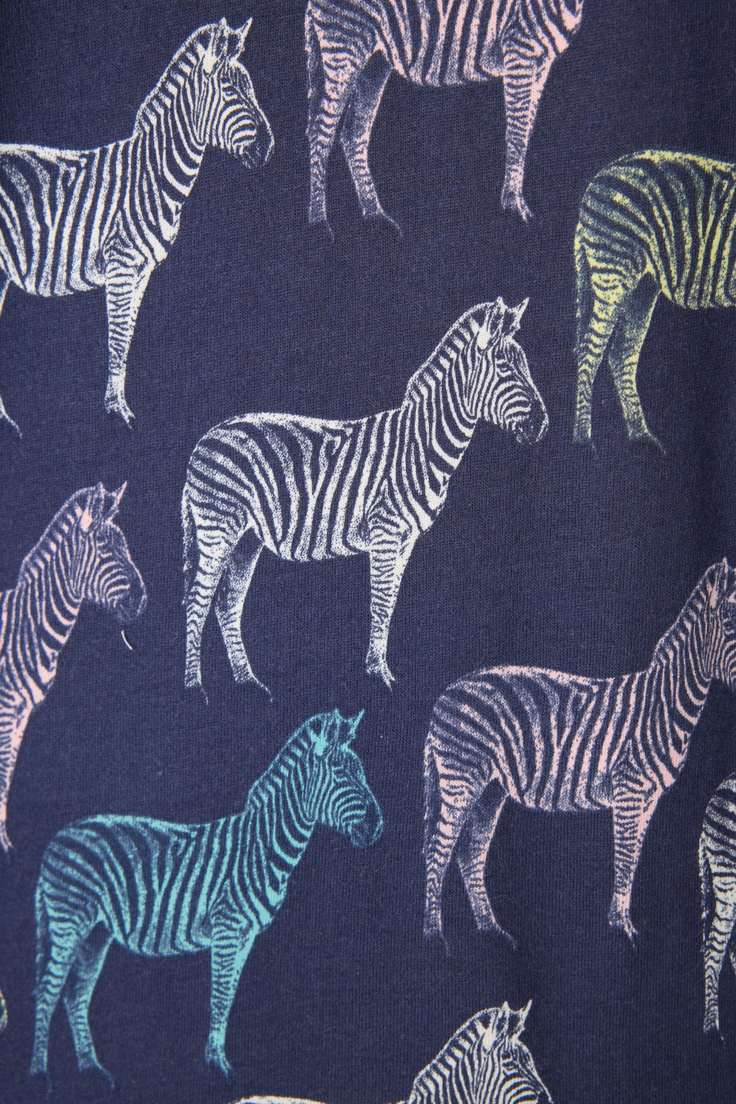 Whimsy Technicolor Safari PJ Set