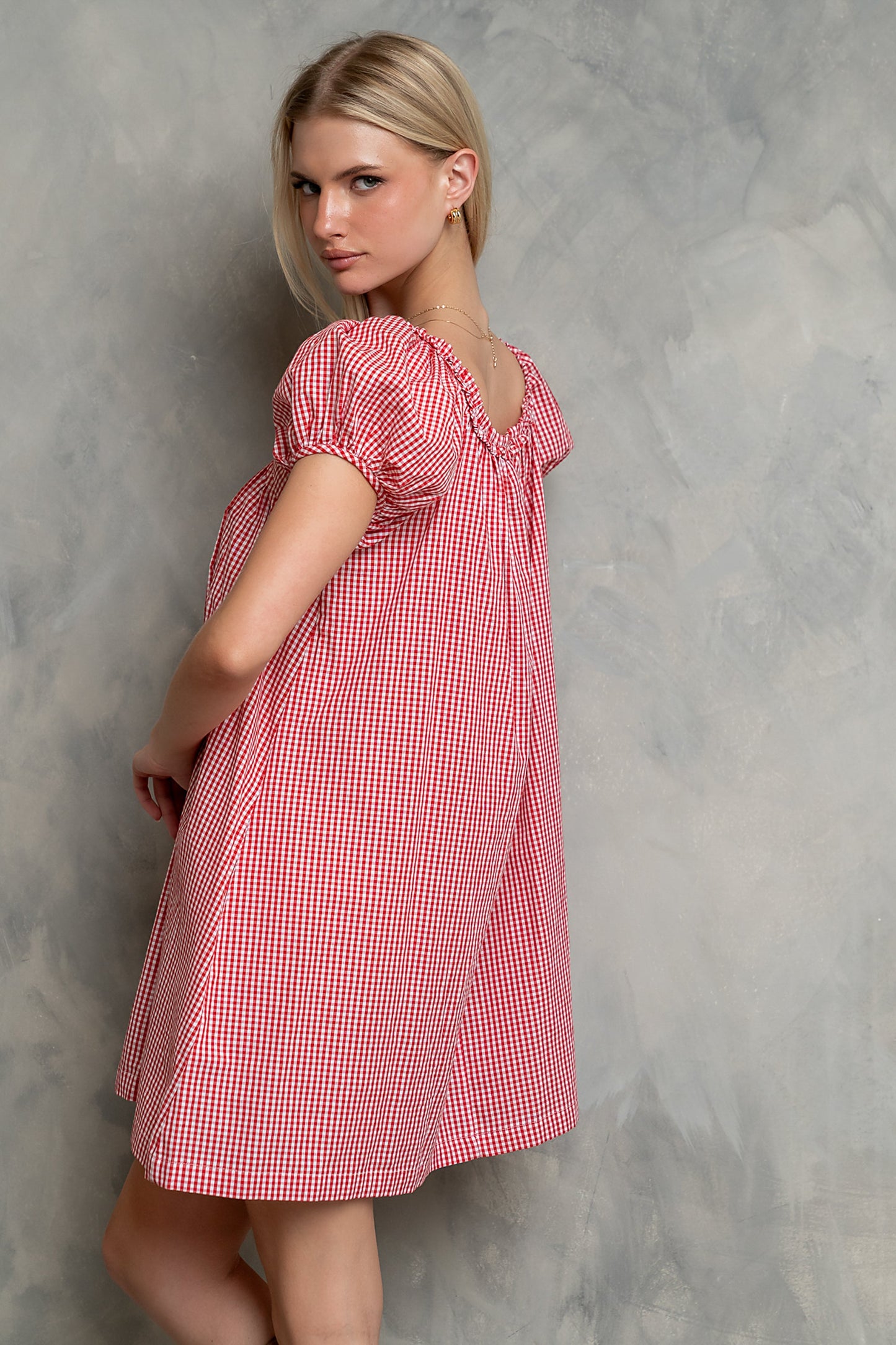 Evelyn Gingham Dress in Red