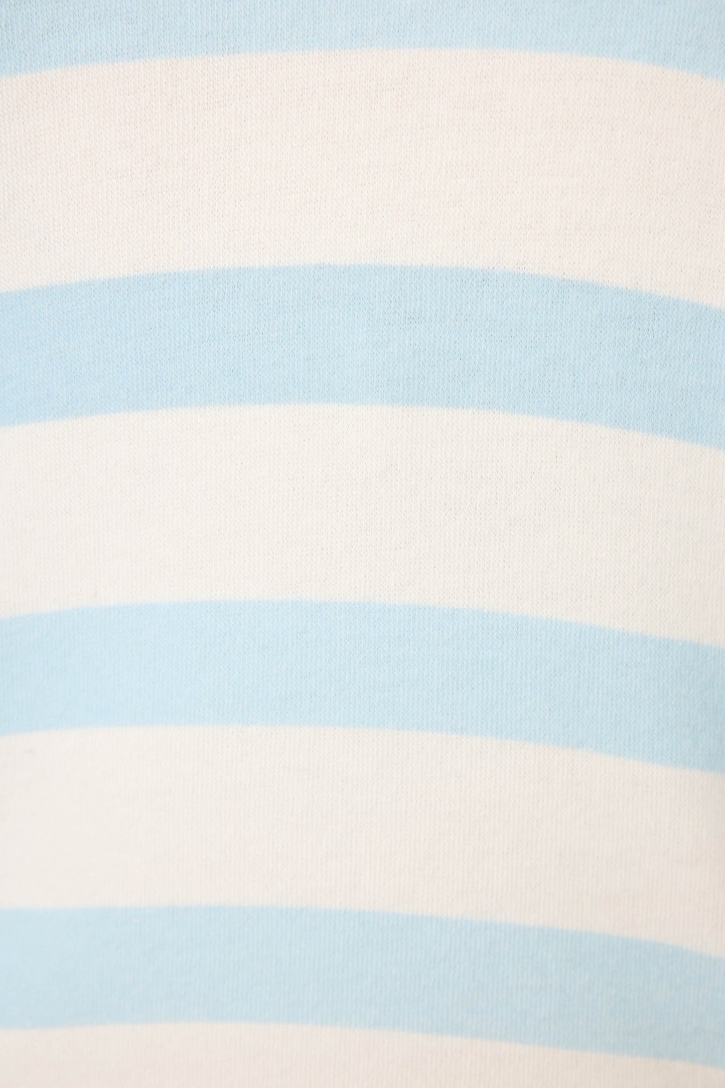 Pupcation Palms Ocean Stripe Shorts