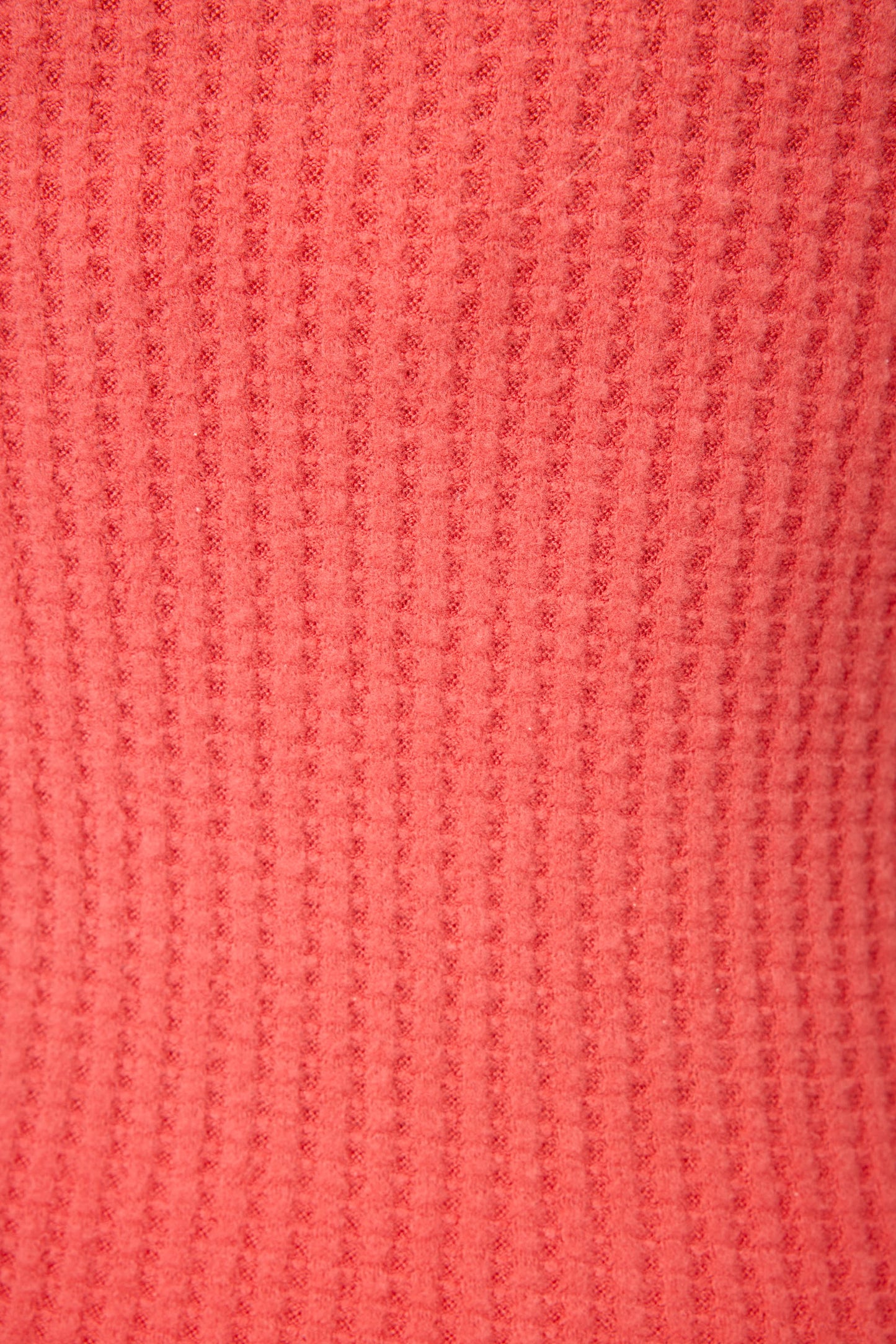 Morning Waffles Scarlet Shorts