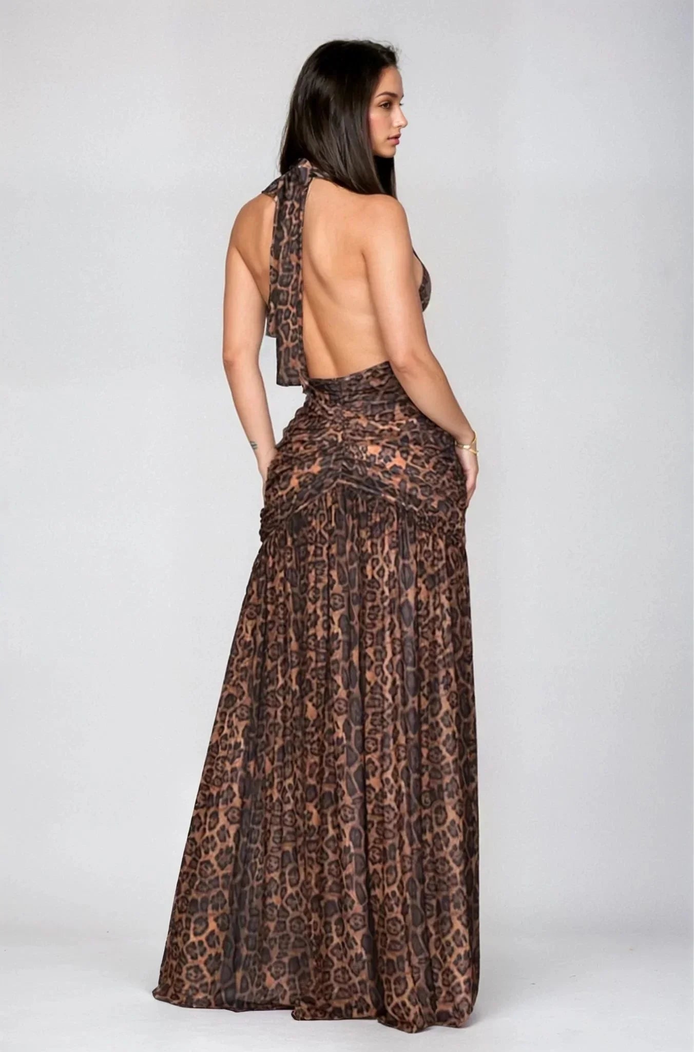 Fierce Elegance Leopard Mesh Maxi Dress