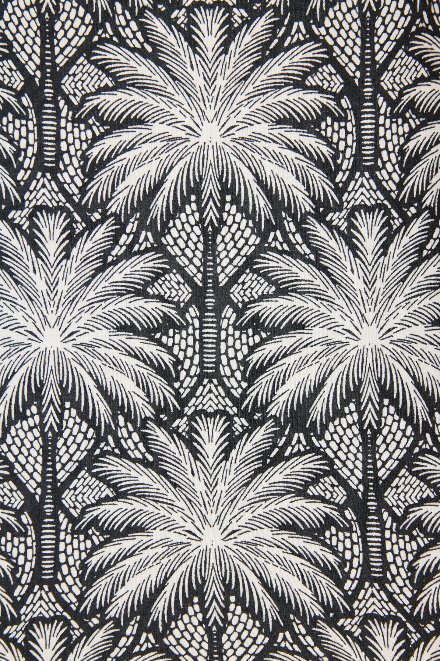 Shady Beach Dreams Shorts